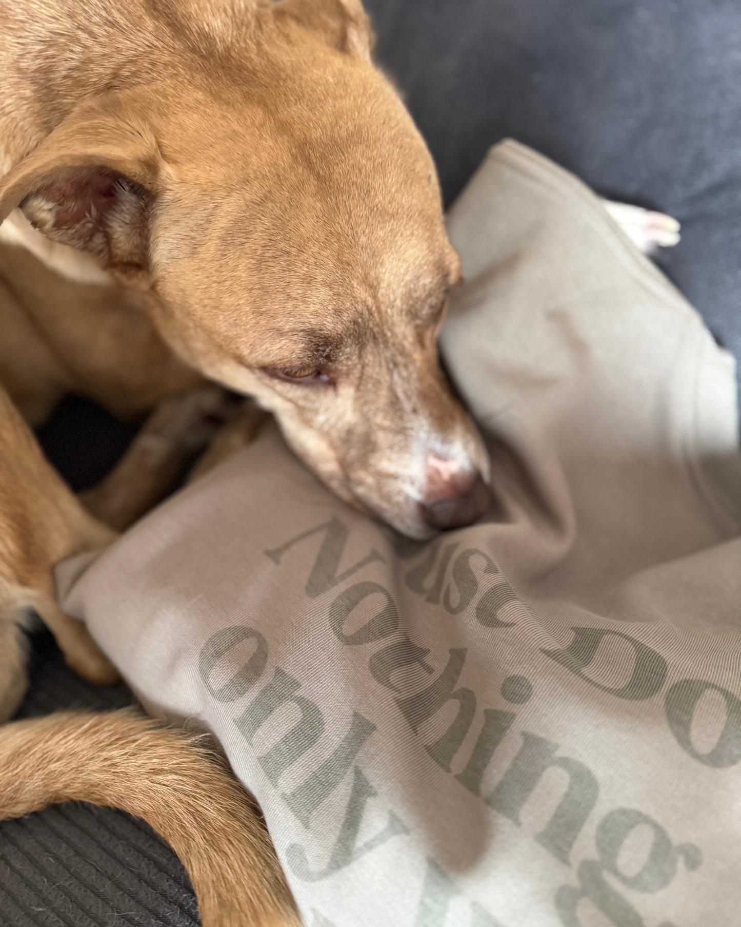 Suéter Just Do Nothing